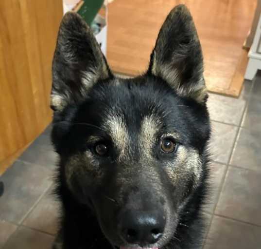 Photo of Perseus