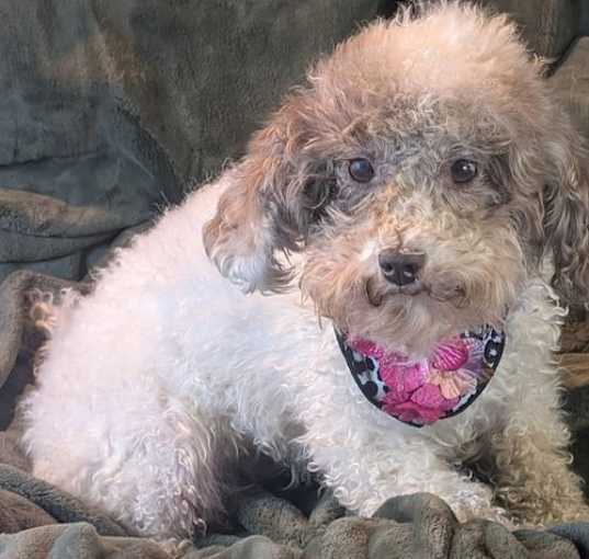 Photo of Shila