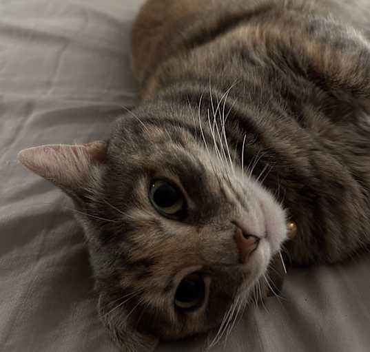 Photo of Tara