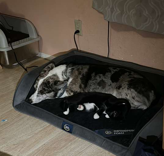 Photo of walle