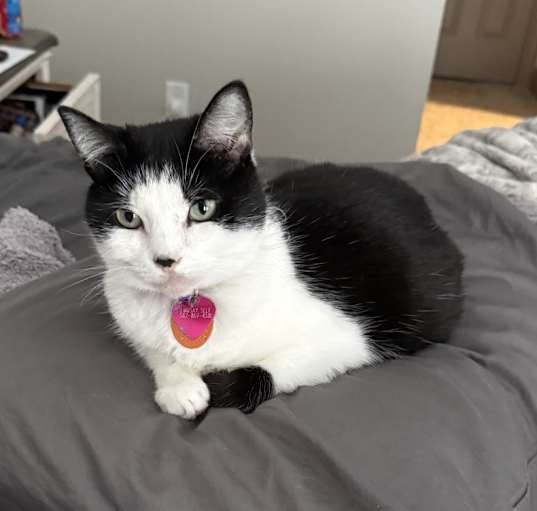 Photo of Tiny