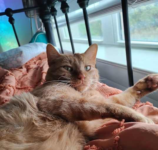 Photo of Leo