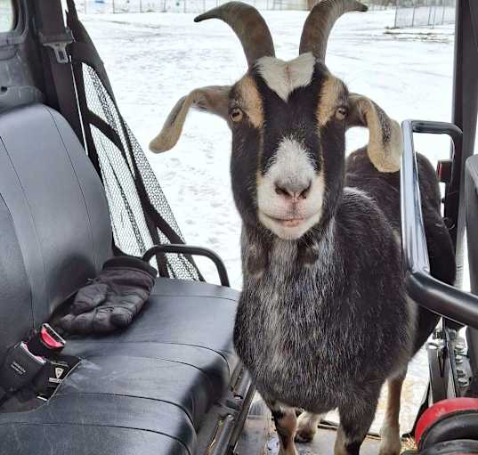 Photo of Stormy