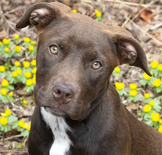 Photo of Delilah