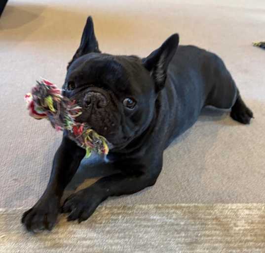 Photo of Max