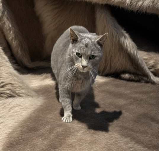 Photo of Esteban