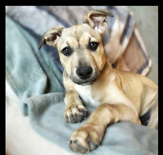 Photo of Gabby