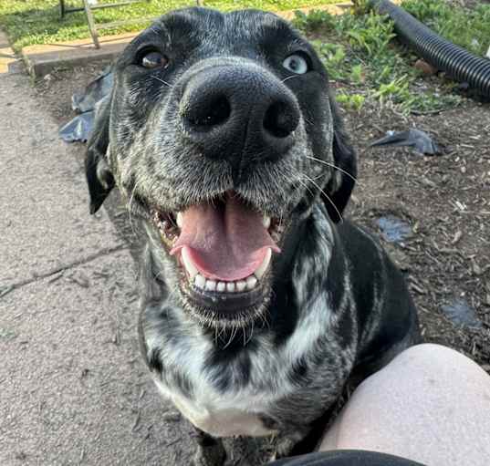 Photo of Skye