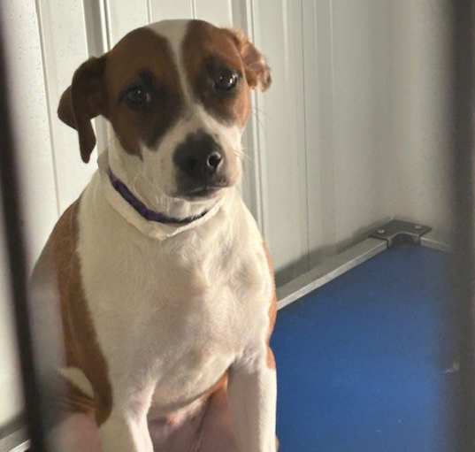 Photo of Velma