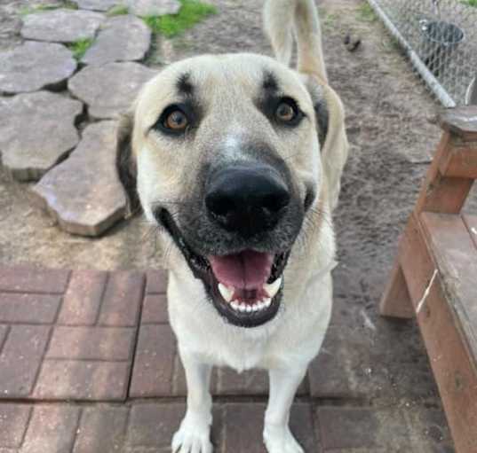 Photo of Starlord