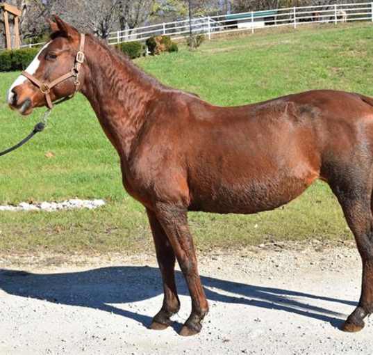 Photo of MACI MAY