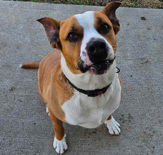 Photo of Bruce