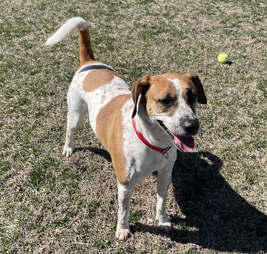 Photo of Rosie