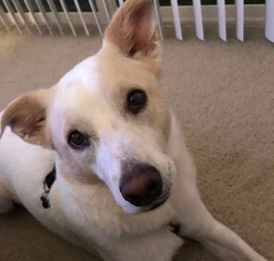 Photo of Max