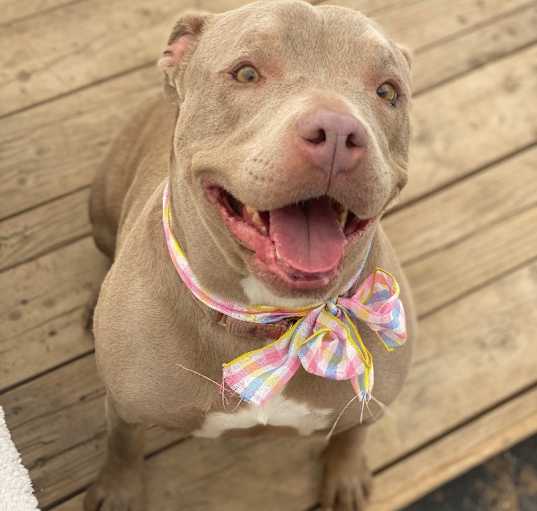 Photo of NALA