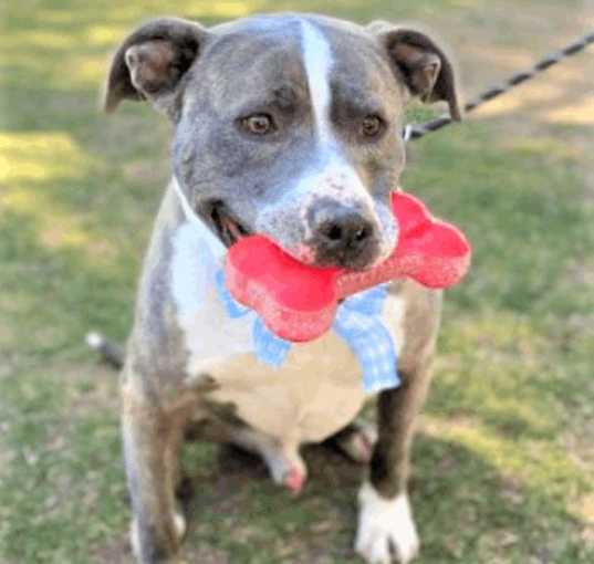 Photo of JEWELZ