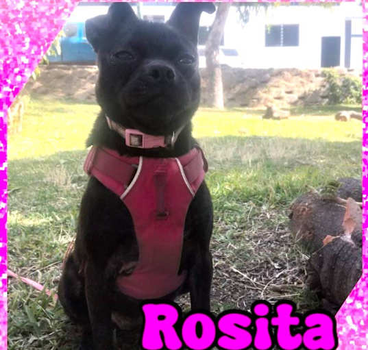 Photo of ROSITA