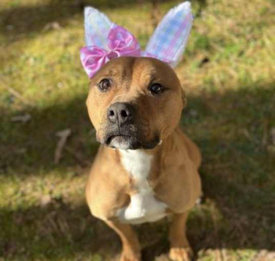 Photo of Mable