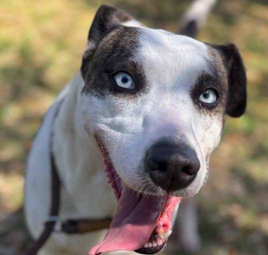 Photo of DOROTHY