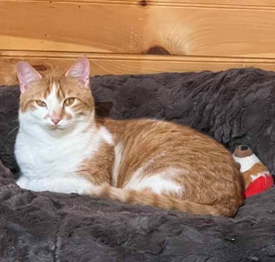 Photo of Sunny