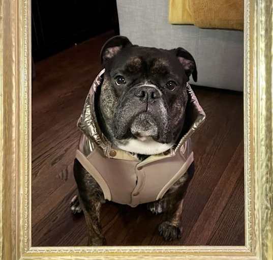 Photo of Gia