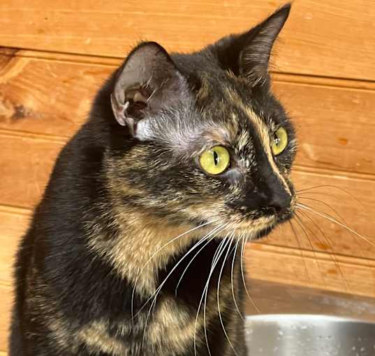 Photo of Aluma