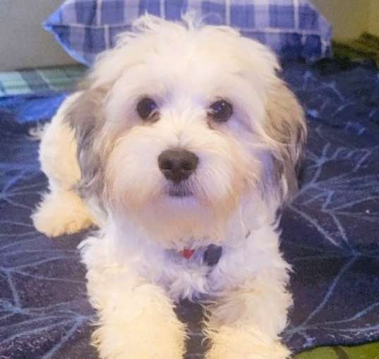 Photo of KIKO