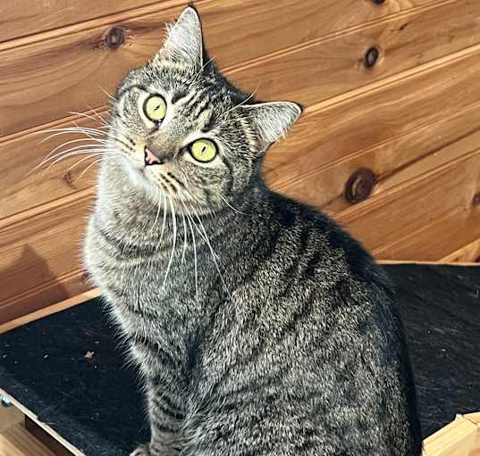 Photo of Dottie