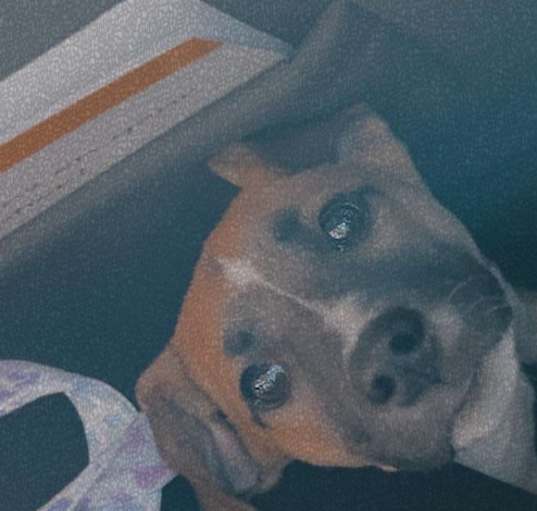Photo of Bayleigh