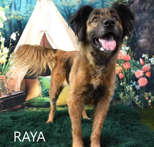 Photo of Raya