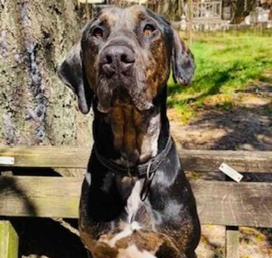 Photo of Arnie