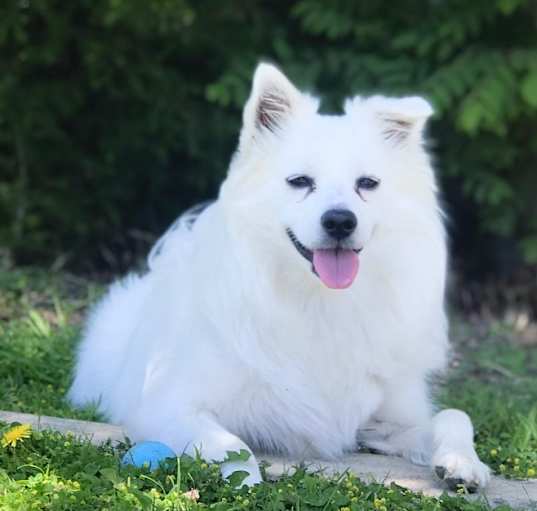 Photo of Kairos