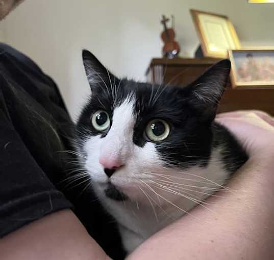 Photo of Miss Larry