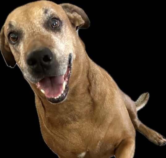 Photo of Riley