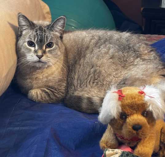 Photo of Luna