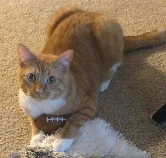 Photo of Sophie