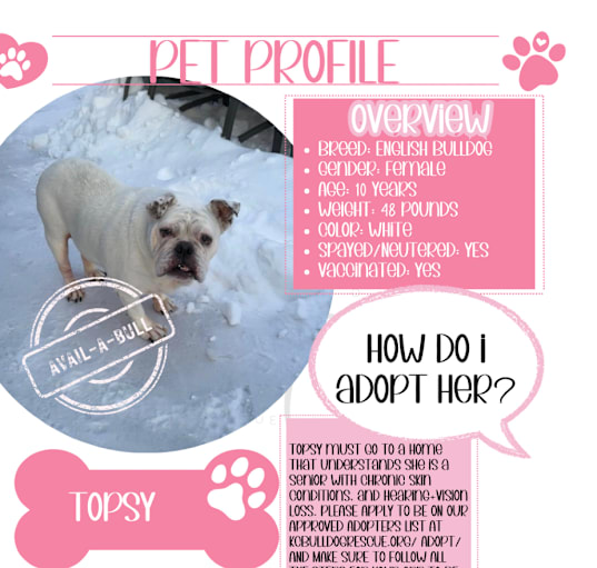 Photo of Topsy