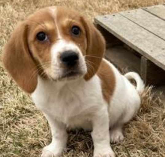 Photo of ABBY