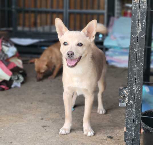 Photo of Jax