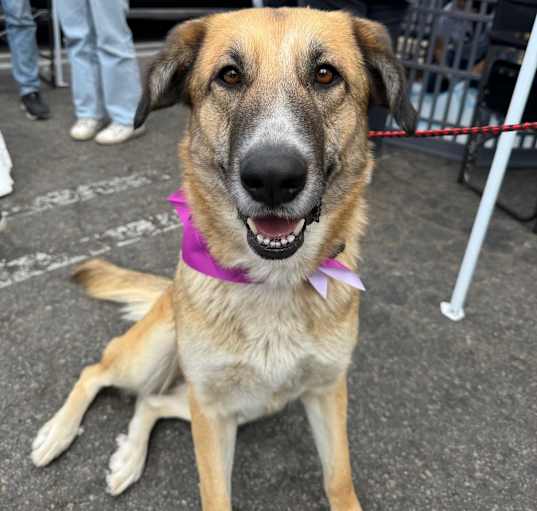 Photo of Penelope