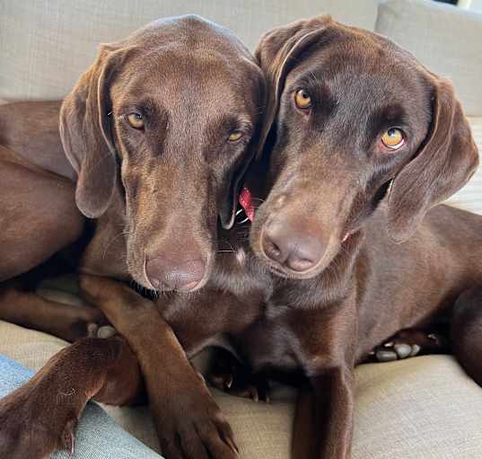 Photo of Gabby & Annie