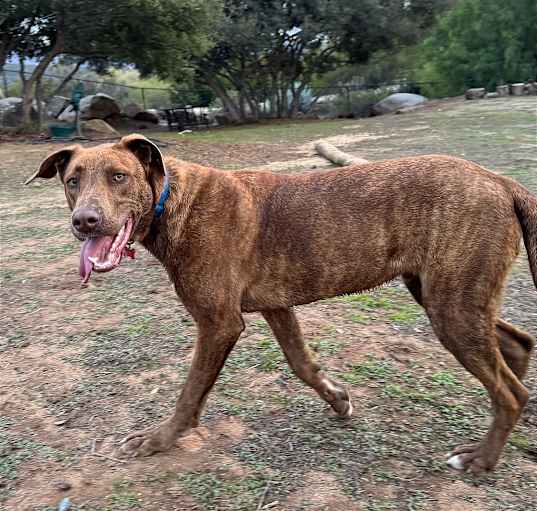 Photo of Mack