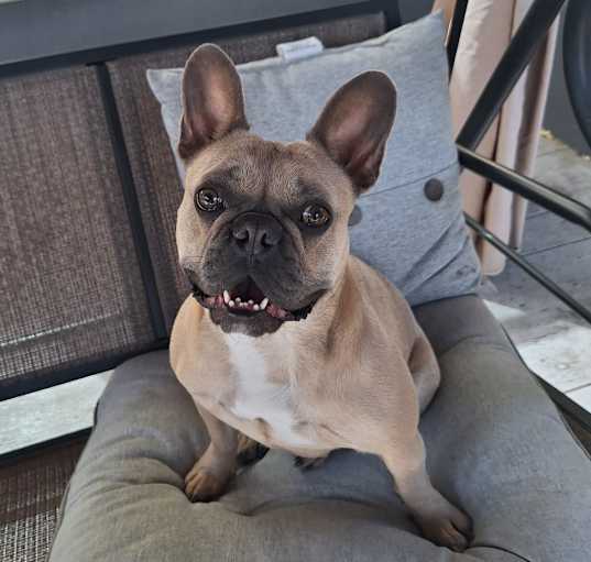 Photo of Nella