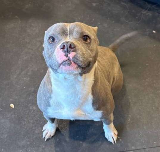 Photo of Zeus