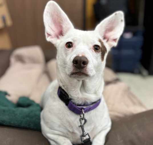 Photo of Precious