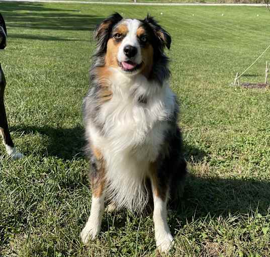 Photo of Rex