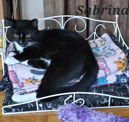 Photo of Sabrina