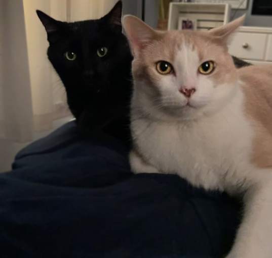 Photo of Loaf & Oliver