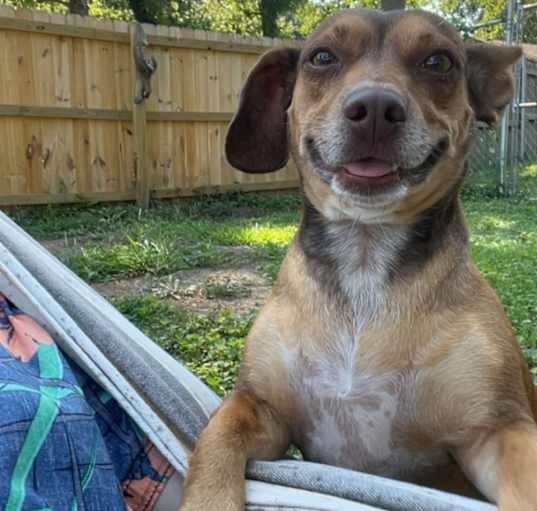 Photo of Lulu