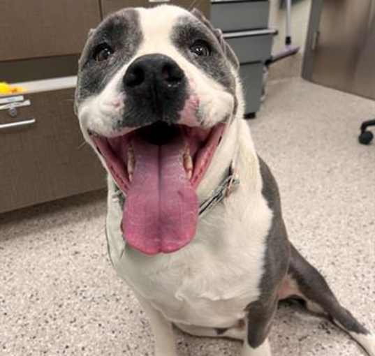 Photo of TANK